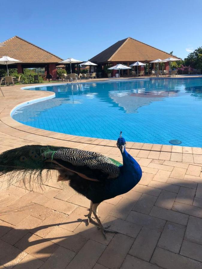 Praia Do Forte Village Das Acacias エクステリア 写真